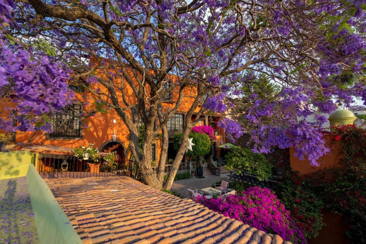 Casa Schuck Boutique Hotel San Miguel de Allende Exterior foto